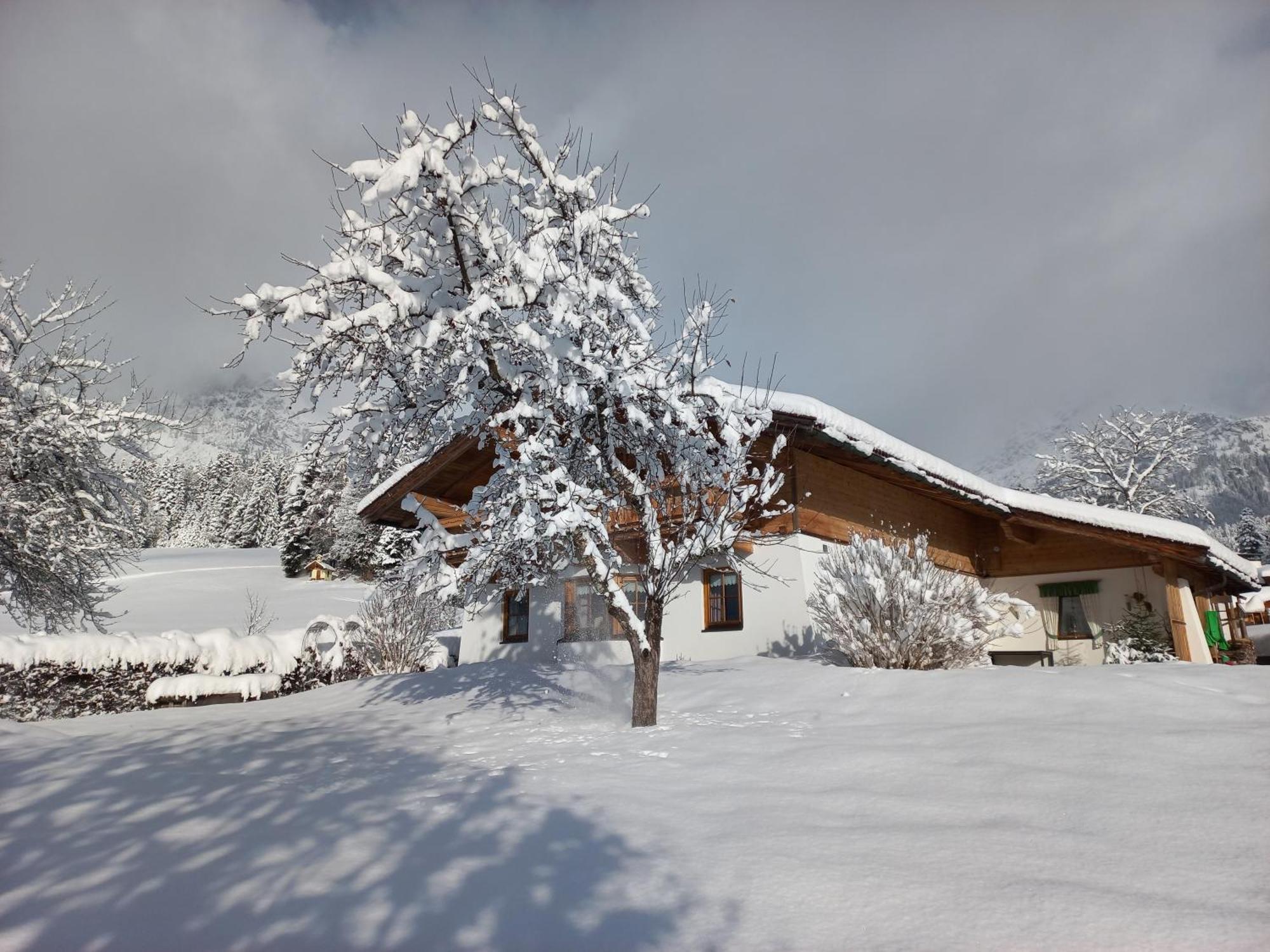 Chalet Gluecklich Sein... Ellmau Exterior foto